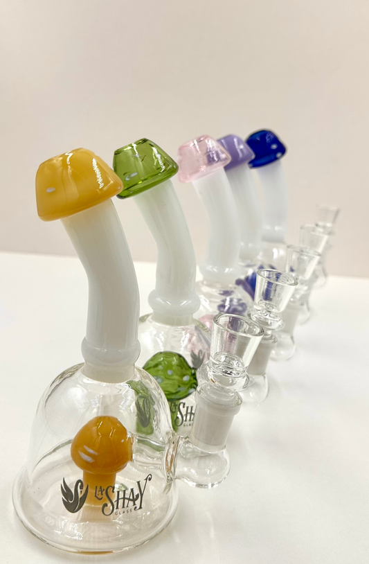 Bong Fungi