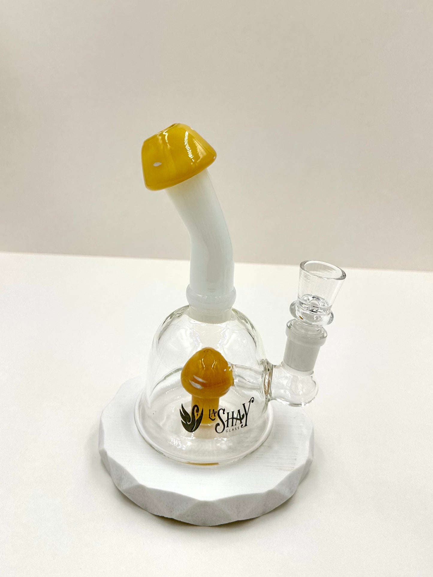 Bong Fungi