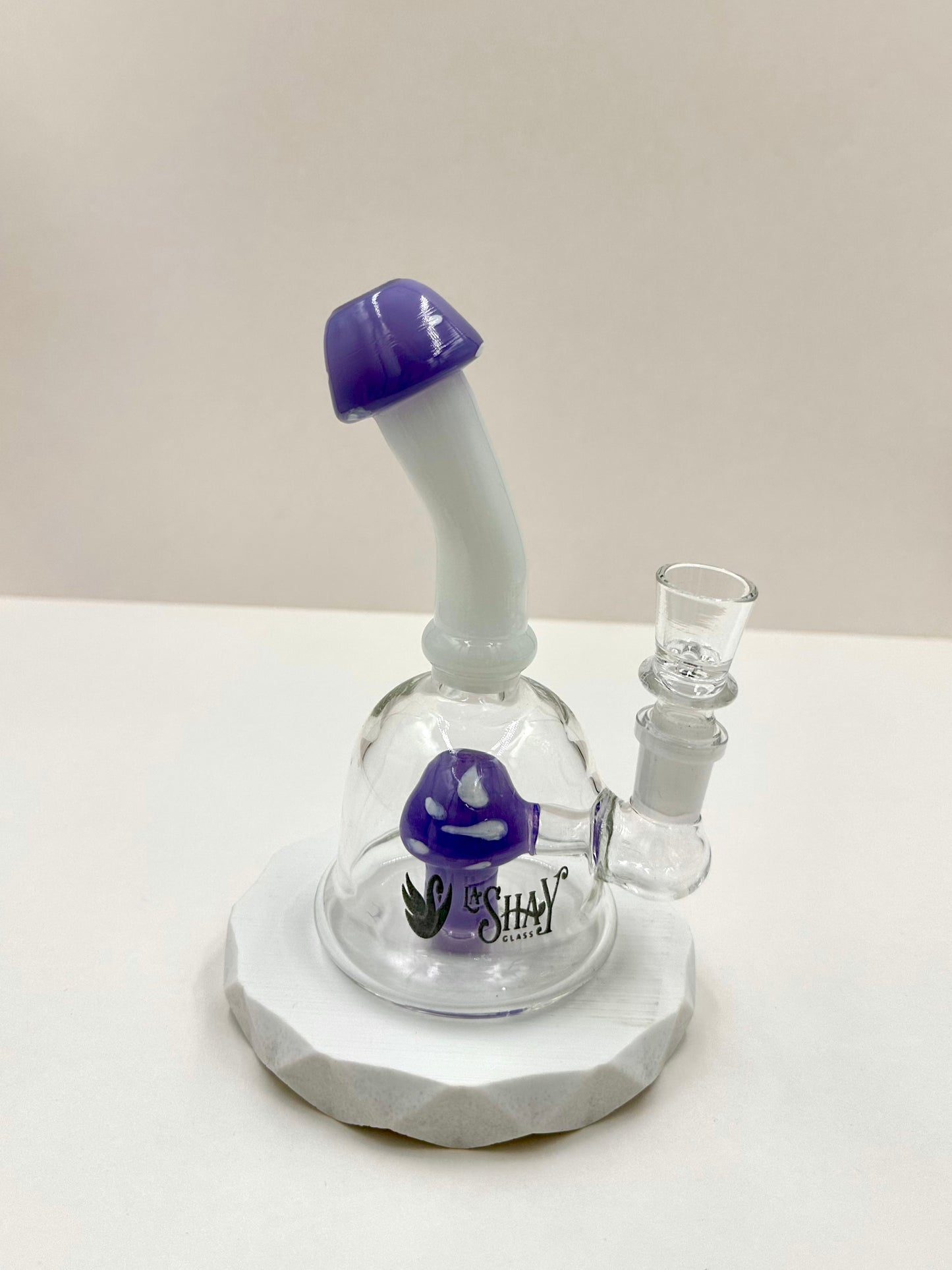 Bong Fungi